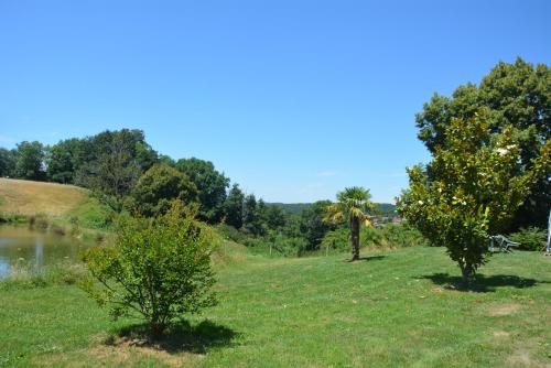 two trees in a field next to a lake at Villa Gites Chambre d hôtes avec piscine Dordogne 2-4-6-8-10 personnes in Bussière-Badil