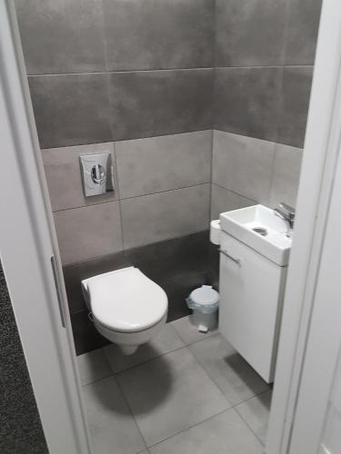 a small bathroom with a toilet and a sink at Budziechów Noclegi in Lubsko