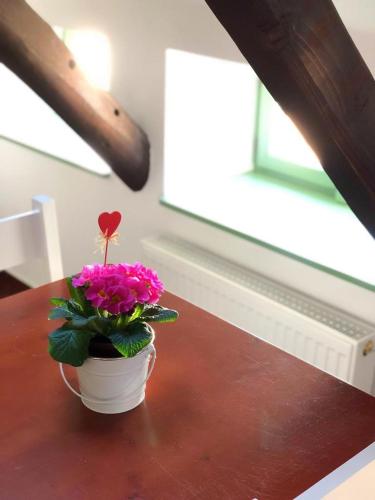 a flower pot on a table with a plant at Kap Café in Kaplice