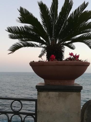 a plant in a pot on a wall next to the ocean at IL PARADISO DEGLI DEI 2 in Agerola