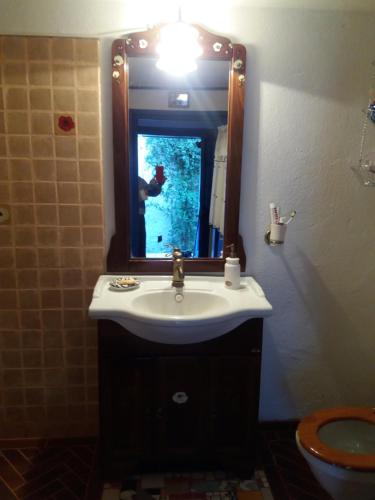 a bathroom with a sink and a mirror with a person taking a picture at Casa Anca Cheile Nerei in Socolari