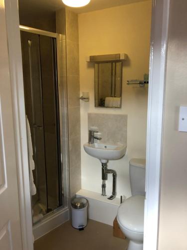 a bathroom with a toilet and a sink and a shower at Newent Golf Club and Lodges in Newent