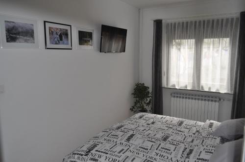 MZ Apartment