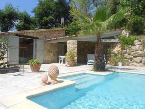 a swimming pool with a palm tree next to a house at Le Mas de FRAYERE in Le Rouret