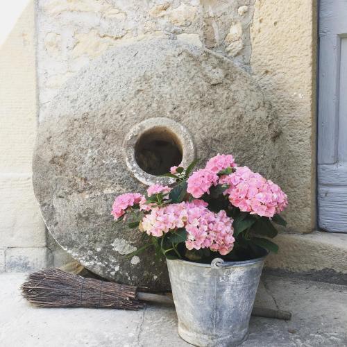 a pail of pink flowers sitting next to a rock at B&B Antico Mulino in Camugnano
