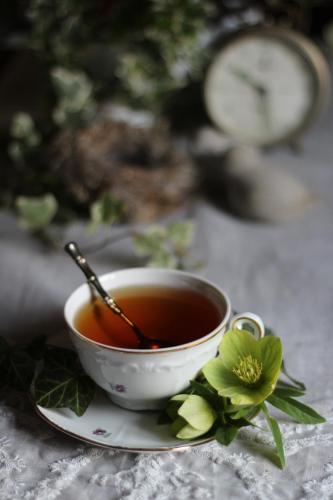 a cup of tea with a spoon on a plate at B&B Antico Mulino in Camugnano