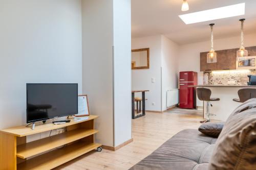 a living room with a tv and a couch at Weingut Gästehaus D&D Haider in Jois