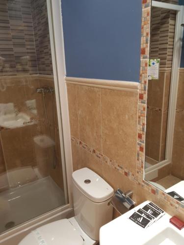 a bathroom with a toilet and a shower and a sink at Hotel Las Murallas in Avila