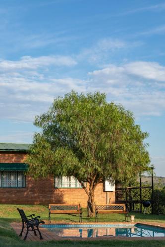 two benches and a tree in front of a building at Olive Tree Farm in Magaliesburg