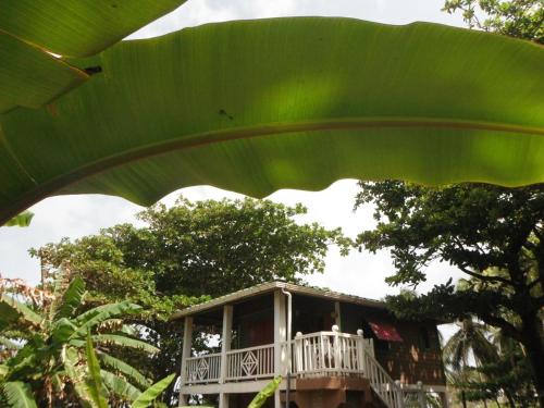 a large green leaf of a house in the trees at Treehouse Apartment at La Lodge at Long Bay in Corn Island