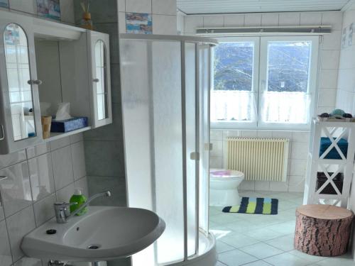 a bathroom with a shower and a sink and a toilet at Ferienwohnungen Chris Stephan in Oberweißbach