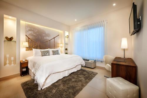 Elements Hotel Boutique في ماناغوا: غرفة نوم بسرير كبير وتلفزيون