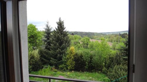 a window with a view of a forest of trees at Prázdninový dům - PACL Červená Řečice in Červená Řečice