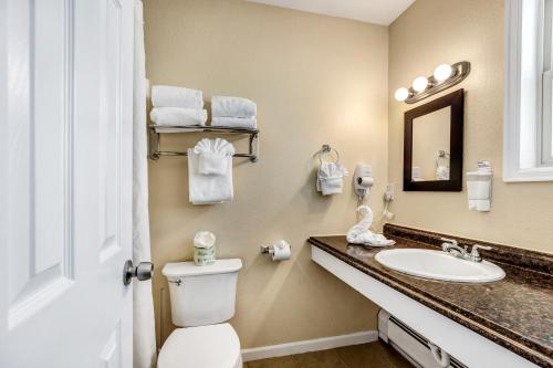 a bathroom with a toilet and a sink at Murphy's River Lodge in Estes Park