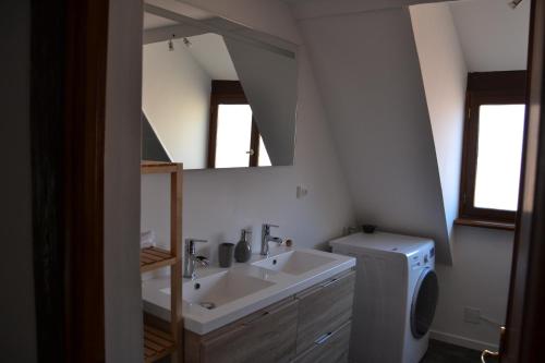 uma casa de banho com um lavatório e uma máquina de lavar roupa em P'tit Biscuit em Riquewihr