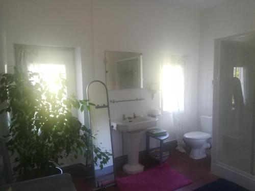 La salle de bains est pourvue d'un lavabo, de toilettes et d'un miroir. dans l'établissement Domaine de Sandreau (fin XIXème siècle), à Mondonville