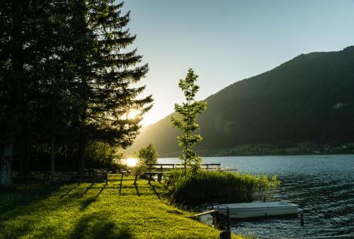 a tree next to a lake with a table and a boat at Ferienwohnungen Mitterer in Weissensee