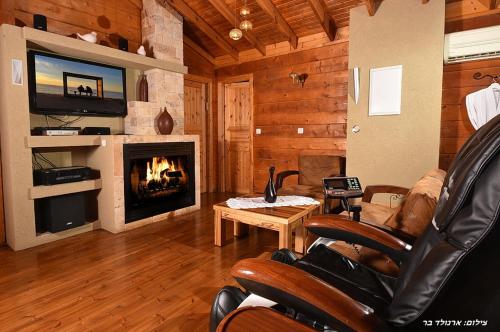 a living room with a fireplace and a television at Lev Hahoresh Boutique Hotel in Shomera