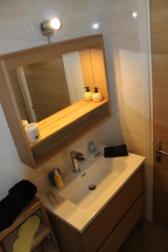 une salle de bain avec un lavabo et un miroir dans l'établissement Oasis Méditerranéen Piscine & Parking Calme absolu, à Nice