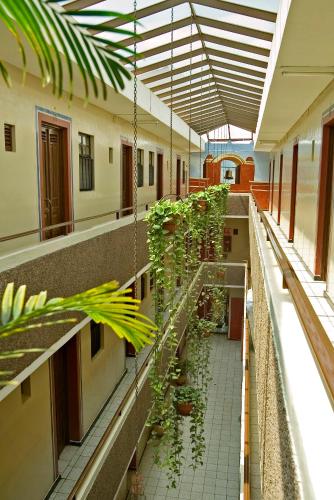 an empty hallway with plants in a building at Hotel Janeiro in Guadalajara