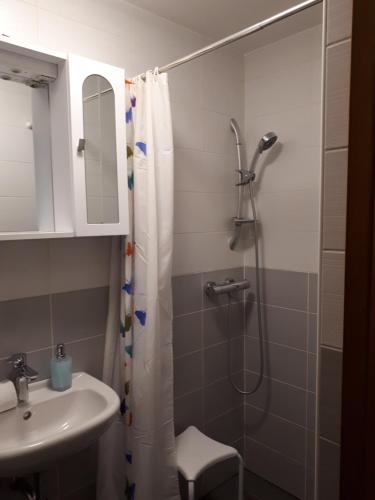 a bathroom with a shower and a sink at Apartmaji Daniel in Kranjska Gora