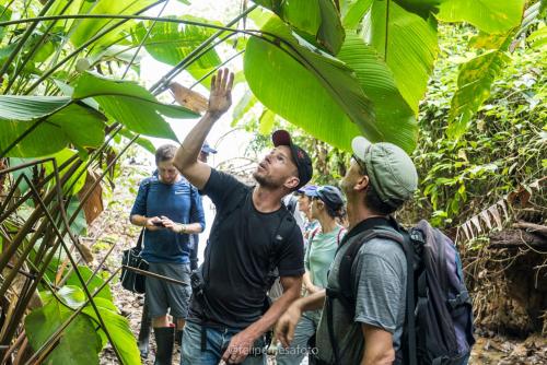 a group of people on a trail in the jungle at Safio. Una casa en el paraiso. in Nuquí