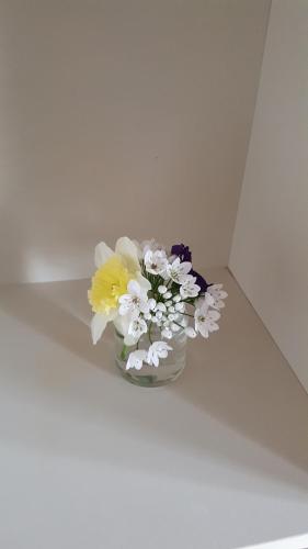 a vase filled with flowers sitting on a shelf at Guest house Il Nido in Velletri