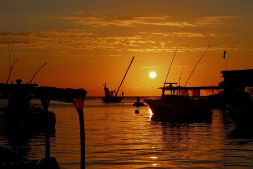 a group of boats in the water at sunset at mame trees in West End