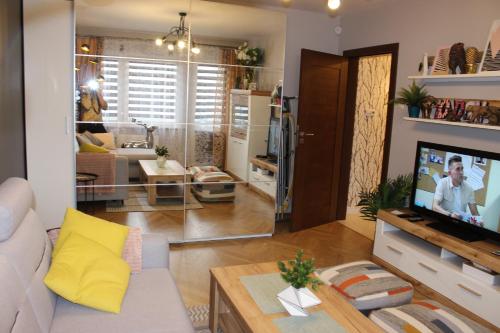 TV a/nebo společenská místnost v ubytování Apartament Euro 1 Bytom