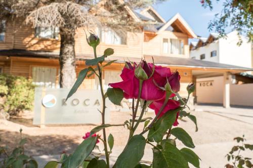 Departamento Roca I - ubicacion perfecta