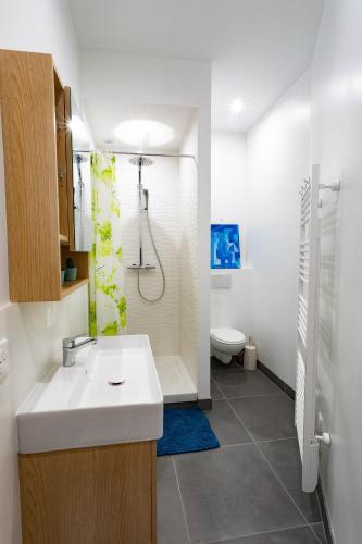 Koupelna v ubytování Gîte Le Pressoir