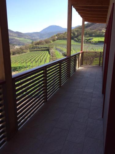 a balcony with a view of the vineyards at Agritur Verderame in Trento