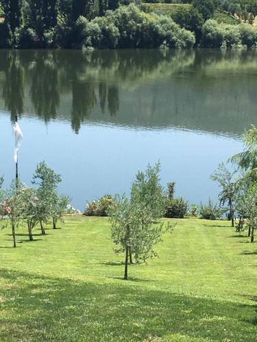 a park with trees and a body of water at Casa da Horta in Peso da Régua