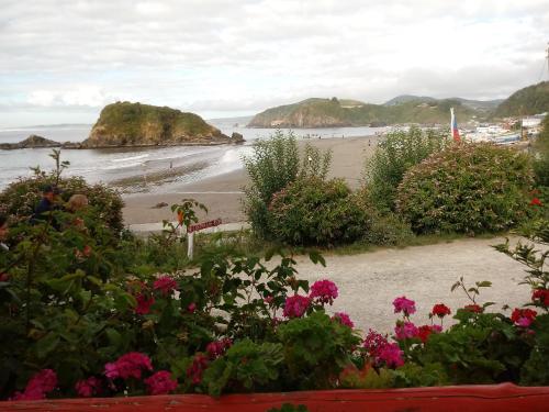 a view of a beach with pink flowers at CABAÑAS MAR BRAVA in Ancud