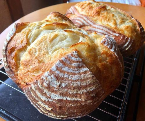 two loaves of bread sitting on a cooling rack at Guesthouse Fuki Juku in Fuki