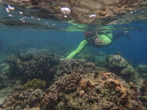 a person is swimming over a coral reef at Ancelle Cristo Re in Moalboal