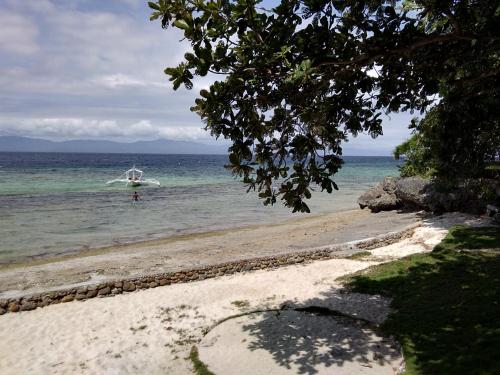 a plane is in the water on a beach at Ancelle Cristo Re in Moalboal