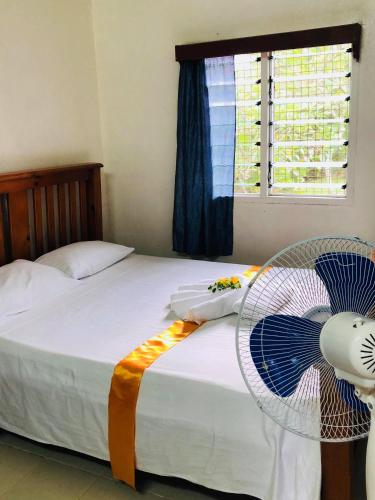 una camera con letto, ventilatore e finestra di Paea's Guest House a Nuku‘alofa