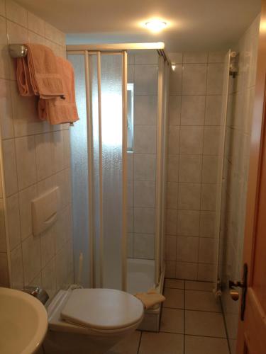 a bathroom with a shower and a toilet and a sink at Café-Conditorei Hotel Huber in Lichtensteig