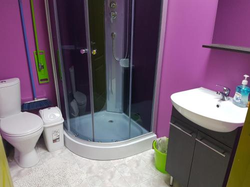 a bathroom with a shower and a toilet and a sink at Apartament Erfolg 11 in Daugavpils
