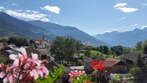 a town in the mountains with flowers in the foreground at Garni Marianne in Malles Venosta