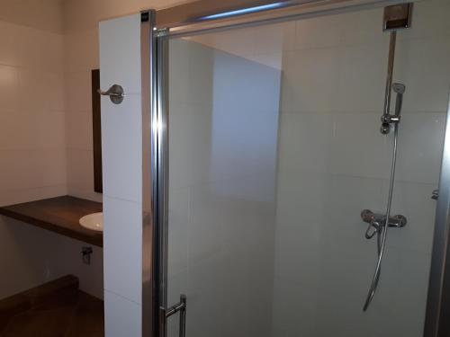 una ducha con puerta de cristal en un baño en Apartman Kuka Tatranská Lomnica, en Tatranská Lomnica