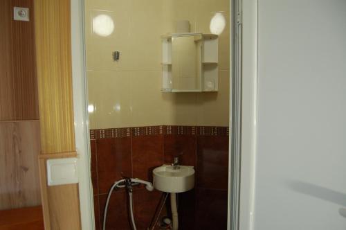 a small bathroom with a sink and a shower at Stivan Iskar Hotel in Sofia