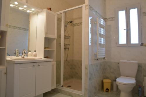 een badkamer met een douche, een toilet en een wastafel bij Chateaubriand in Saint-Cast-le-Guildo