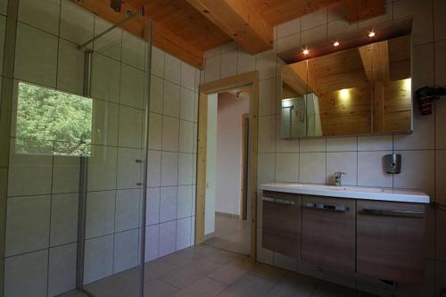 kuchnia z prysznicem, umywalką i lustrem w obiekcie Ferienhäuser Finiki w mieście Purbach am Neusiedlersee