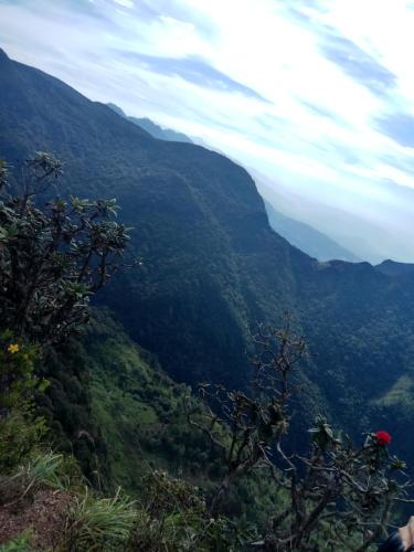 a view of a valley in the mountains at RIO Homestay in Haputale