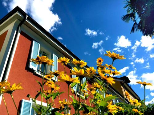 a bunch of yellow flowers in front of a building at B&B villa sempreverde in Locarno
