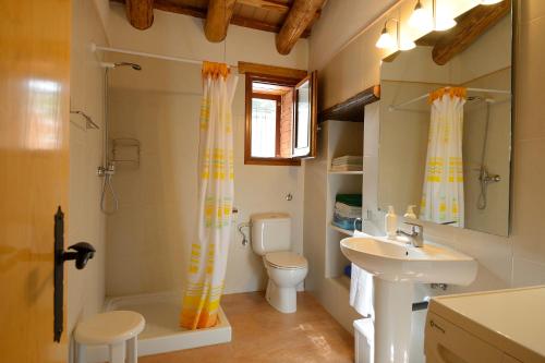y baño con lavabo, aseo y ducha. en Apartamento con jardín, barbacoa y piscina en pleno Montseny Mas Romeu Turisme Rural, en Arbúcies