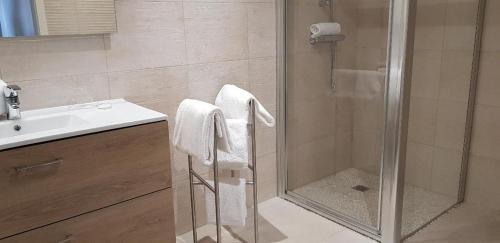 uma casa de banho com um chuveiro e um lavatório. em Médicis Home Strasbourg em Estrasburgo