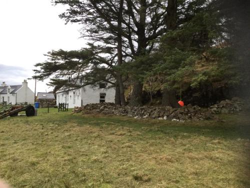 a red frisbee in the grass next to a tree at Comraich in Tokavaig